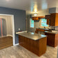 Updated Kitchen - Dark Aesthetic Open Concept