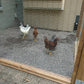 Composite Decking W/ Under Deck Chicken Coup?