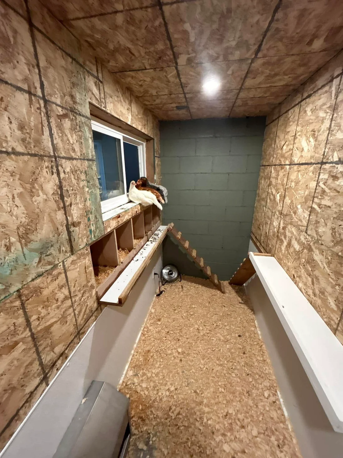 Metro Remodeling Composite Decking W: Under Deck Chicken Coup?12